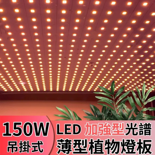 【JIUNPEY 君沛】LED150W薄型植物燈板 150瓦吊掛式植物燈 加強型光譜 強化植物莖葉發展(植物燈)