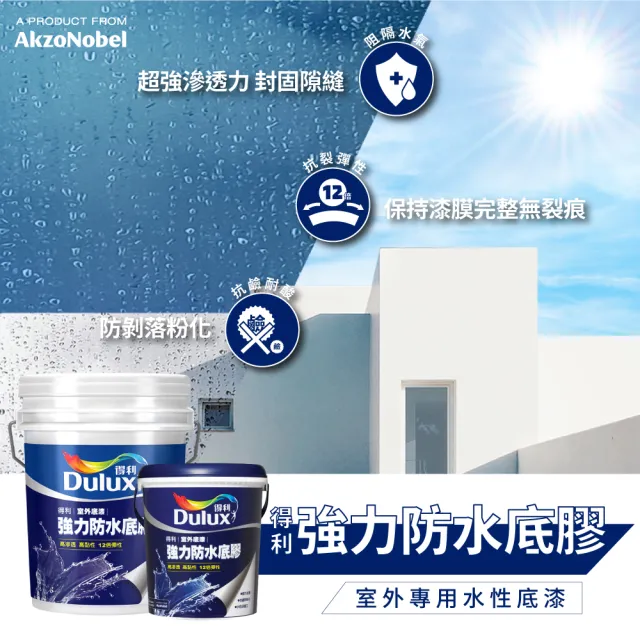 【Dulux得利官方店】10坪基本版 A959倍剋漏屋頂防水組(防水漆 隔熱漆 618)