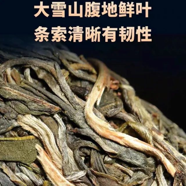 【盛嘉源】大雪山 2023年(普洱茶 生茶357g)