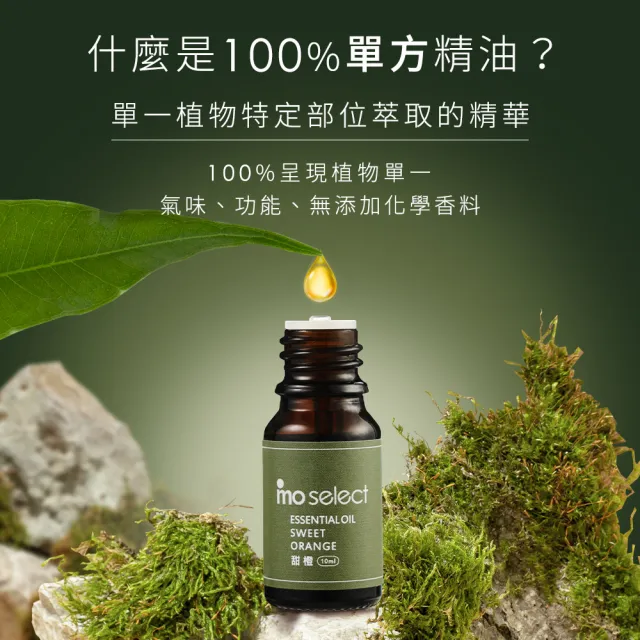 【mo select】100%植物精油3入果香調超值組 10ml(葡萄柚/佛手柑/甜橙/精油)