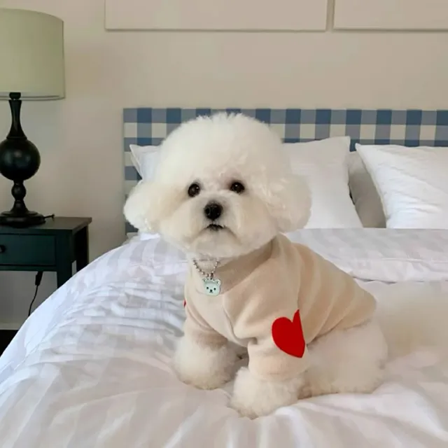 【hipidog 嬉皮狗】怦然心動打底衫(秋冬款寵物服飾 貓狗衣服 面料柔軟 舒適親膚)