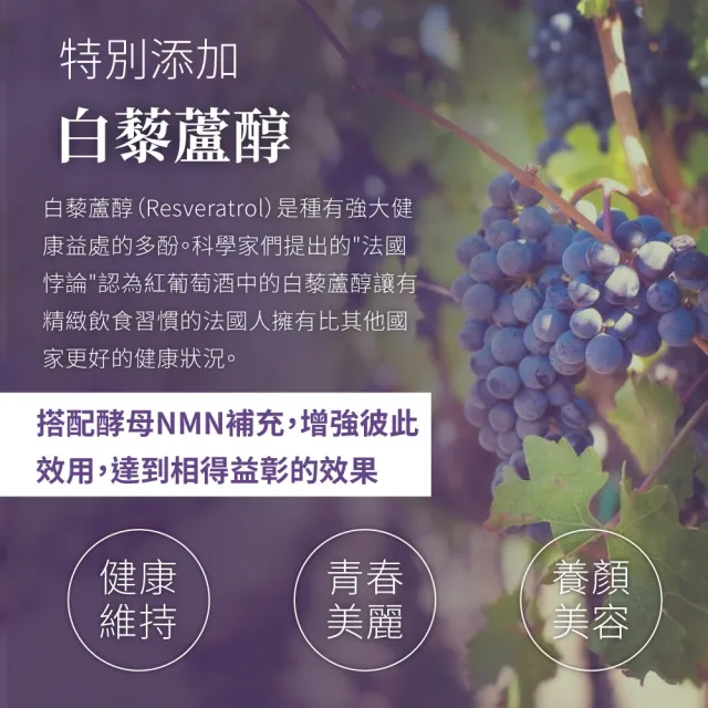 【LOVITA 愛維他】酵母NMN18000新型緩釋素食膠囊(60顆/瓶)