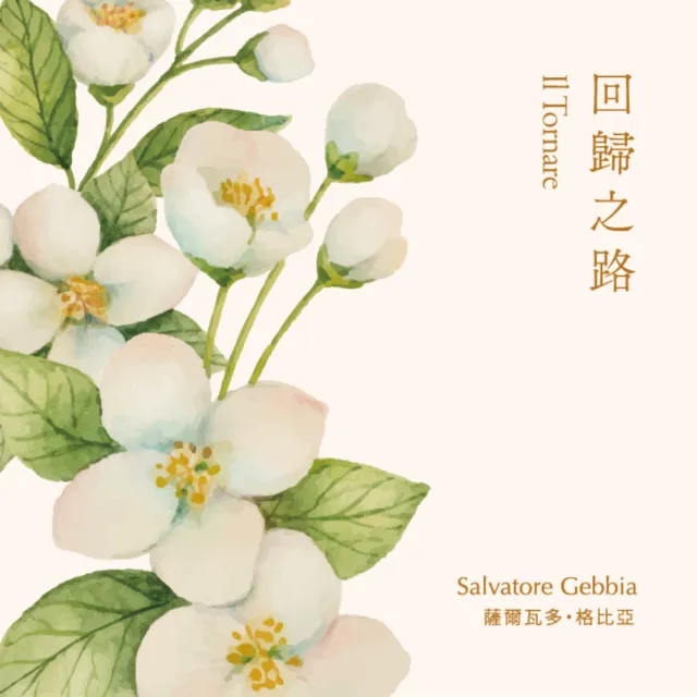 【金革唱片】琴聲花語 套裝6CD+USB(完整收藏5種組合、4種音樂風格)