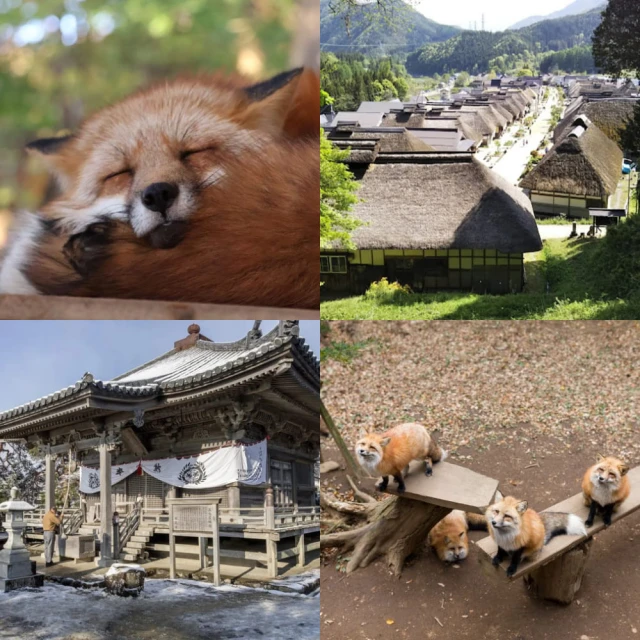 吉航旅遊 精緻假期~東北會津鐵道.松島遊船.大內宿.銀山溫泉街.藏王御釜三晚溫泉5日-星宇航空