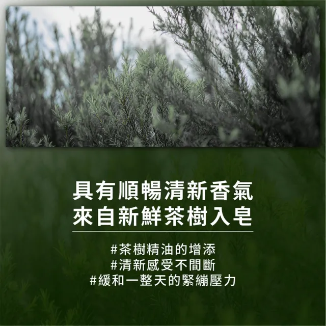 【素顏之本】茶樹皂 200g(手工皂/洗臉/香皂/肥皂)