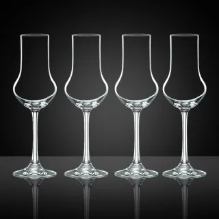 【Nachtmann】維芳迪-威士忌品酩杯4入(新品上市)
