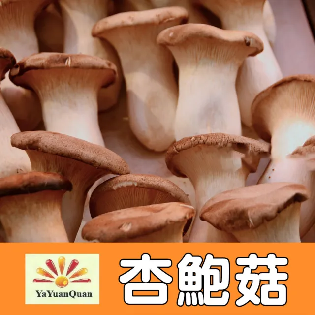 【亞源泉】杏鮑菇 100g/包 乾杏鮑菇 3入組(杏鮑菇 味道鮮美 滋味無窮)