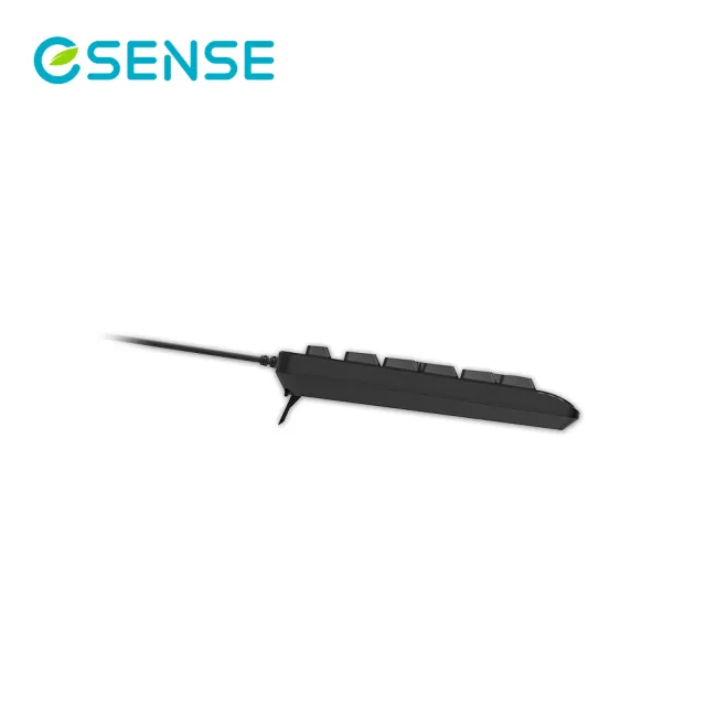 【ESENSE 逸盛】S5655 注音大字體標準鍵盤
