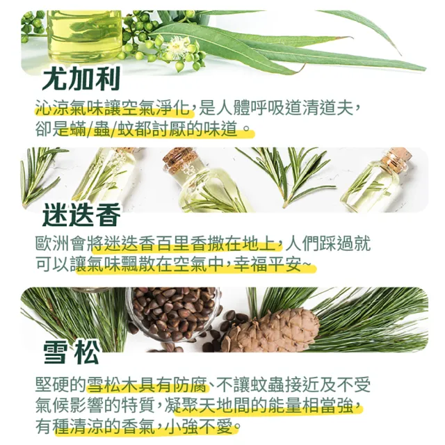 【古寶無患子】居家環境地板清潔劑-迷迭香尤加利(1000ml)