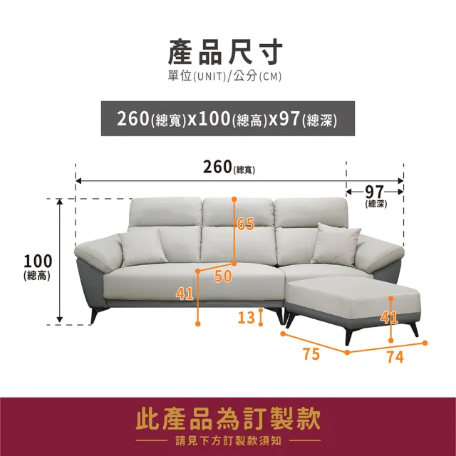 【ASSARI】L型艾利比機能沙發(附抱枕)