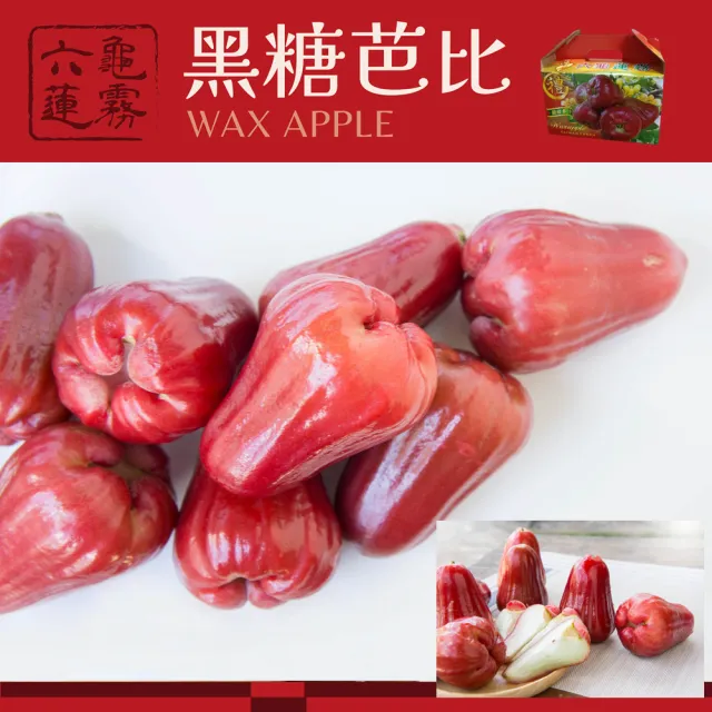 【e果園】高雄六龜LV級黑糖芭比蓮霧禮盒-中果5台斤/盒(中果約21顆-24顆/盒/產地新鮮直送)