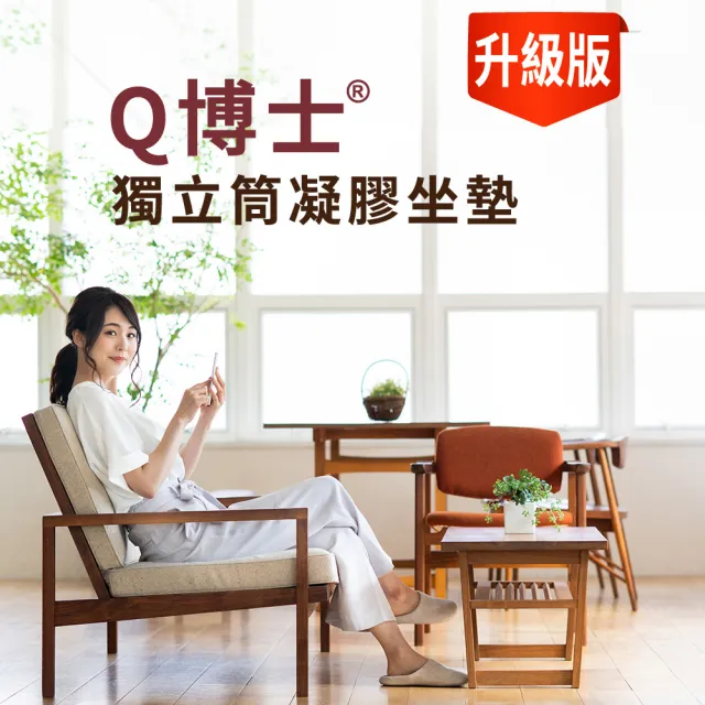 Q博士™獨立筒凝膠坐墊-大