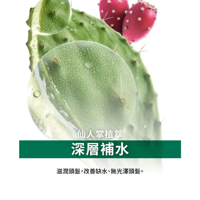 【KLORANE 蔻蘿蘭官方直營】仙人掌保濕洗護組(保濕洗髮精400ml+保濕護髮素200ml)