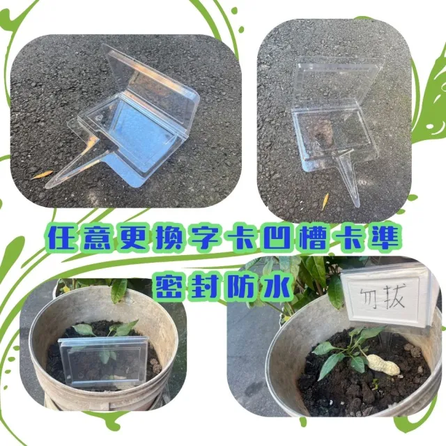 【金德恩】插地透明標示牌(插土立牌 園藝 植物標籤 指示牌 標示插牌 展示牌)