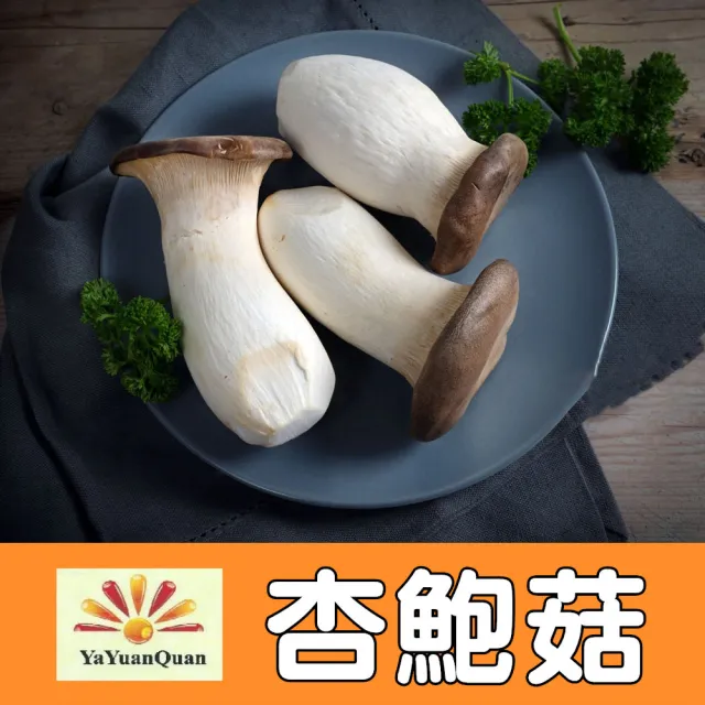 【亞源泉】杏鮑菇 100g/包 乾杏鮑菇 5入組(杏鮑菇 味道鮮美 滋味無窮)