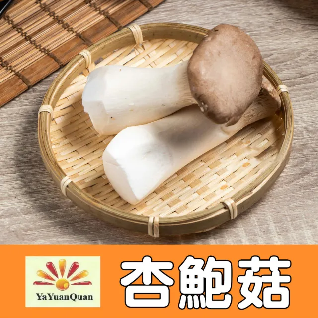 【亞源泉】杏鮑菇 100g/包 乾杏鮑菇 5入組(杏鮑菇 味道鮮美 滋味無窮)