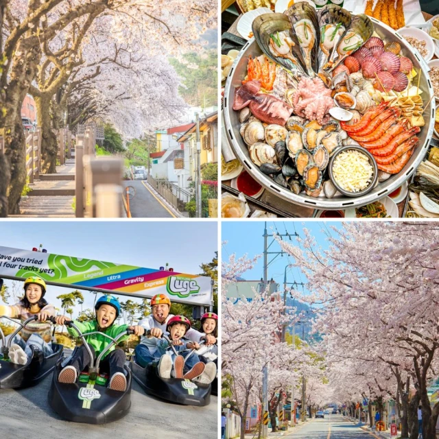 1/25新春賀喜慶芽莊 越南越美麗-芽莊市區+珍珠樂園5日好