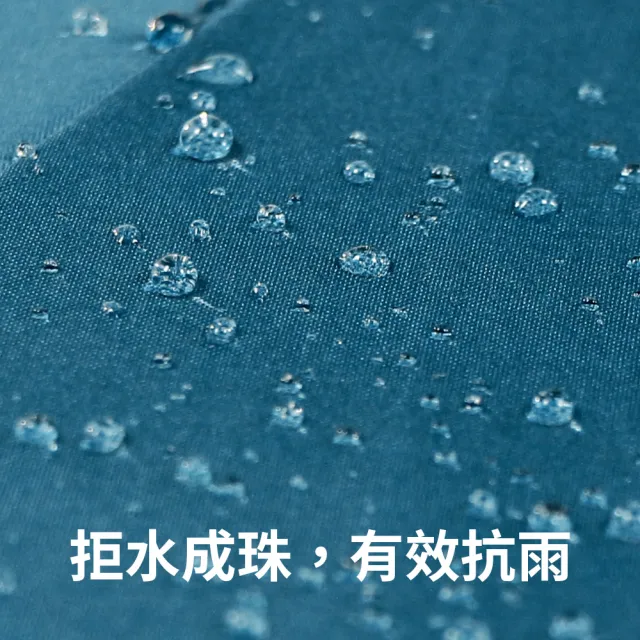 【雨傘王】BigPurple 最大傘面 自動傘 折疊傘 27吋 防潑水 8骨防風 多人撐(超值款無維修*)