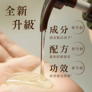 【Hair Recipe】綠茶柚子洗髮露 530ml+頭皮精華護髮膜2入 (髮的食譜/髮的料理)