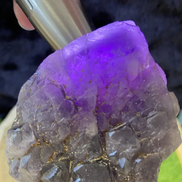 【Cozy 世界水晶原礦與茶】雅典娜紫晶骨幹 04-1(幫助人們打開智慧與力量的大門)