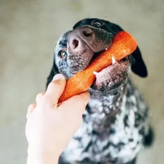 【Petstages】BBQ史迪克 寵物玩具 烤肉木風味 S 潔牙 耐咬 狗玩具