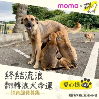 【相信動物協會】定期愛心捐-終結流浪 翻轉浪犬命運