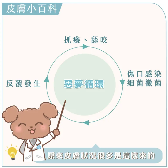 【GOODMO 歸毛家族】寵物肌膚救星 精萃營養霜/修護霜 20ml 六件組(全齡貓狗護膚/無抗生素/無類固醇)