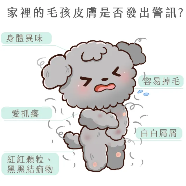 【GOODMO 歸毛家族】舒敏保濕洗毛乳300ML護膚噴液x2精萃營養霜/修護霜x2(全齡貓狗護膚/無抗生素類固醇)