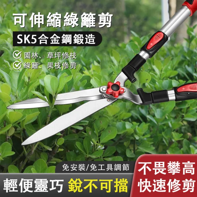 【巧可】SK5合金鋼草坪剪 綠籬剪 籬笆剪 果樹修枝剪刀 園藝剪刀 多功能伸縮修枝剪 園藝工具