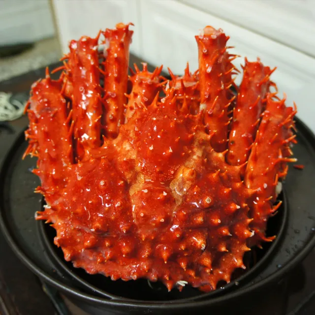 【優鮮配】特大級急凍智利帝王蟹1隻(約1.4-1.6kg/隻)