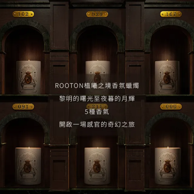 【ROOTON】官方直營 植曦之境香氛蠟燭 - REGRESAR 102 落日潮汐