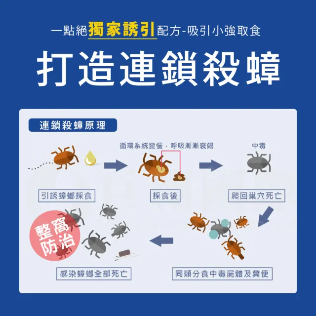 【一點絕】2%凝膠餌劑 30g X 3入(德國巴斯夫出品/除蟑螂)