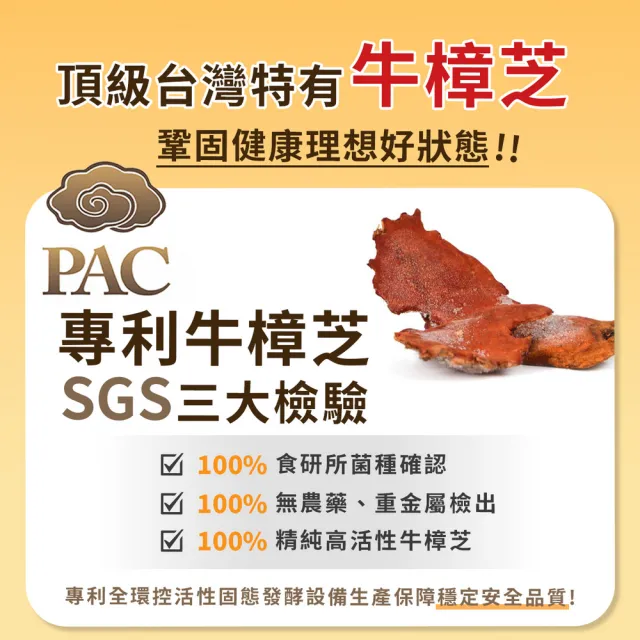 【薇爾艾伯】牛樟芝薑黃精選頂級雙芝配方 牛樟芝 子實體 3入組(90粒/盒 熬夜 體力 術後補養)