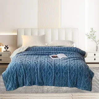 【三浦太郎】珊瑚絨羊羔绒塔芙绒兩用被/藍色(毯子/毛毯/四季毯/被套/兩用套)