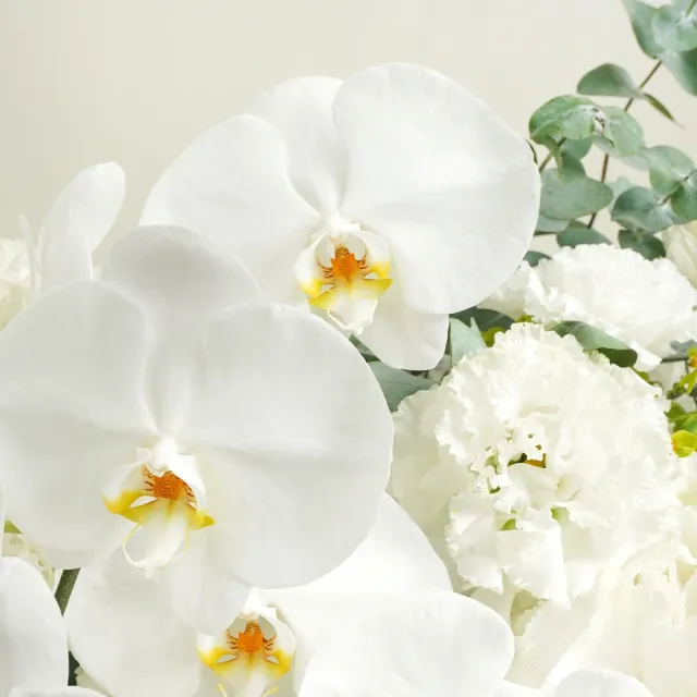 【CNFlower 西恩】雪白戀想 鮮花禮盒(送禮/鮮花/驚喜/祝賀/開幕)