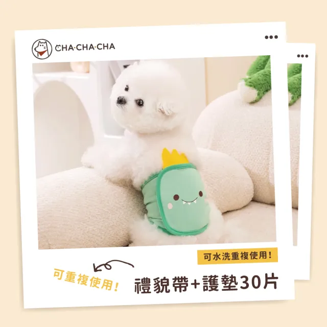 【chachacha】犬用禮貌帶+護墊30片(可重複使用/狗尿布/犬用生理褲)