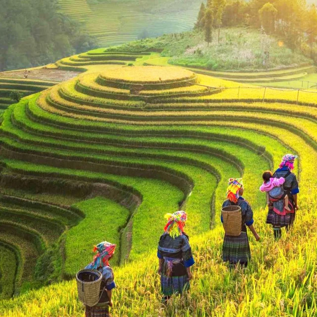 東方航空MU 781-3582173912 松山TSA-上海