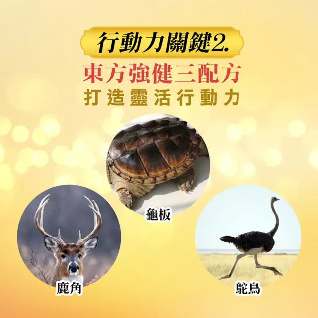 【梁衫伯】30粒x1盒-台灣製造龜鹿鴕鳥精升級版(保健食品 維持靈活力 守護健康)