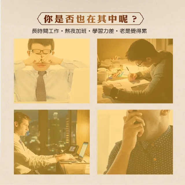 【蔘大王】人蔘麥門冬退火茶包X3組（6gX10入/組）(氣力老師茶 業務養聲 氣壯山河 遠離卡卡)