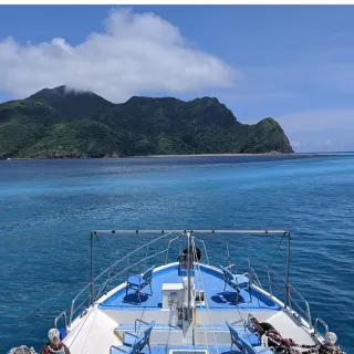 【新福豐36號】賞鯨+環龜山島+登島-成人票