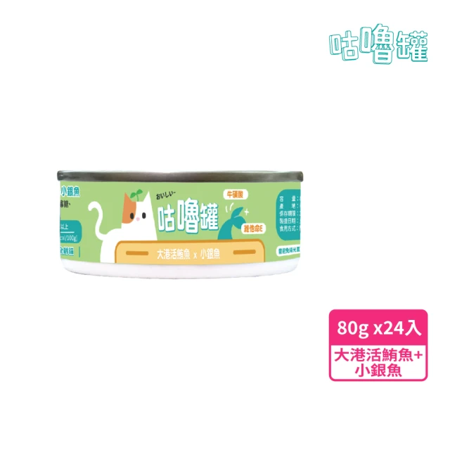 Unicharm Pet 銀湯匙 主食貓餐包55gx16包x