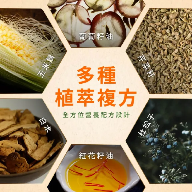 【威立鋒】專利EFLA☆940南瓜籽油膠囊(添加茄紅素、黑麥花粉1瓶60顆)