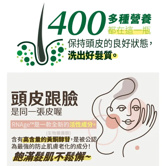 【古寶無患子】沙棘強化修護洗髮精 450g(沙棘萃取/滋養頭皮/無矽靈)