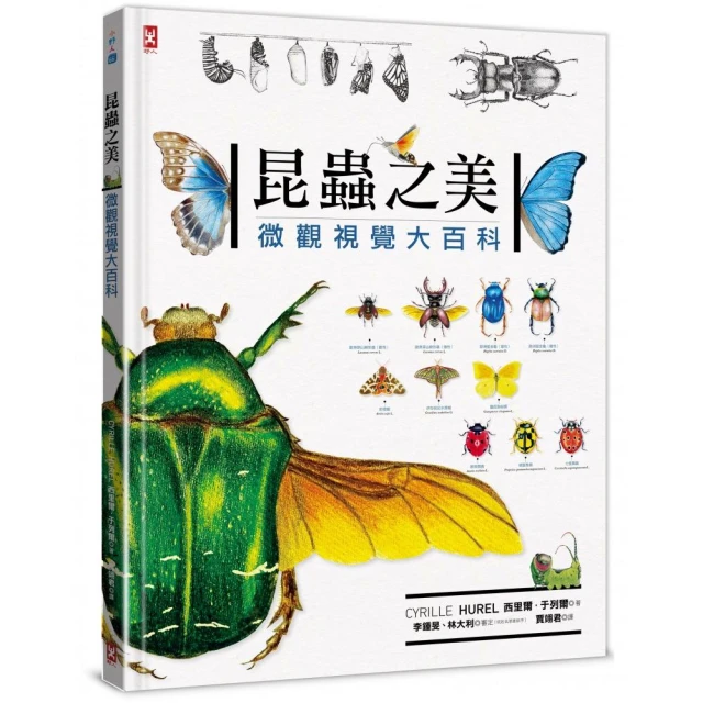 小熊蓋房子（結合STEAM與SDGs的永續議題繪本）好評推薦