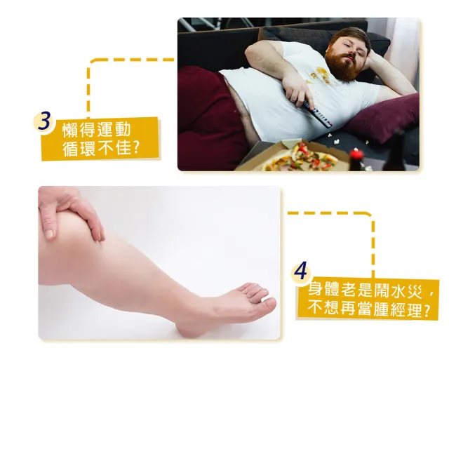 【High Tea】玉米鬚系列茶包任選 12入x1袋(臺灣在地高品質紅鬚玉米筍)