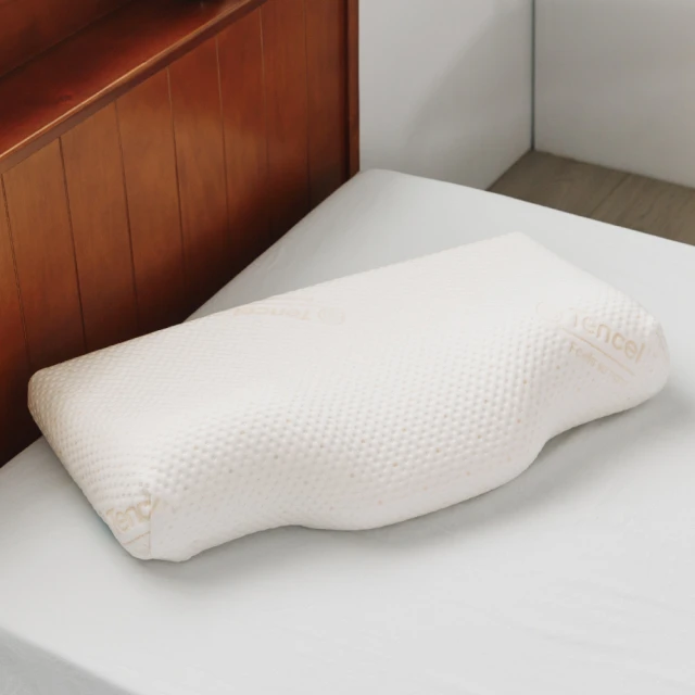 Reverie 幻知曲 親水大枕頭 加贈涼感布套(抗壓 涼感