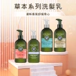 【歐舒丹】草本洗髮乳500ml 強韌/修護/平衡/淨涼任選(平行輸入版/洗髮精)
