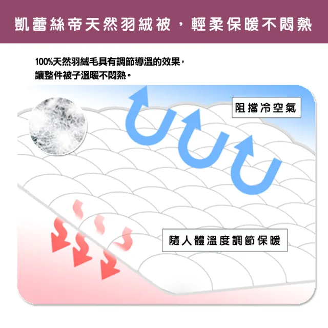 【凱蕾絲帝】台灣製造 寒流首選雙人6*7尺-100%純天然保暖3D立體羽絨被-40純羽絨(雙面花戀)