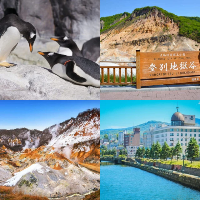 吉航旅遊 精緻假期-北海道函館百萬夜景昭和新山小樽運河大小沼尼克斯公園三大蟹溫泉美食五日-星宇航空