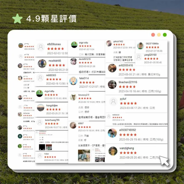 【茶好玩】魔力紅品選組 越南高山手採蜜香紅茶葉75gX8包(1斤;超甜濃蜜香;全發酵;輕焙火;全手採)